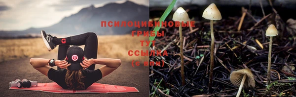 трава Нягань