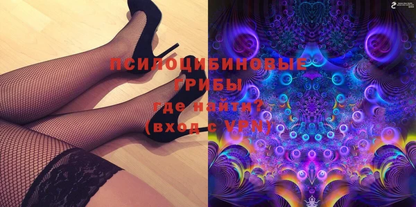 винт Няндома