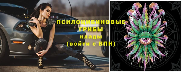 винт Няндома
