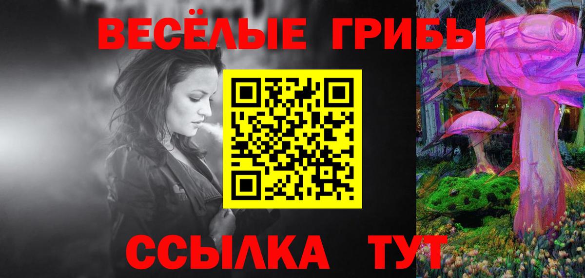 Галлюциногенные грибы Psilocybine cubensis  Вход с VPN  Аксай 